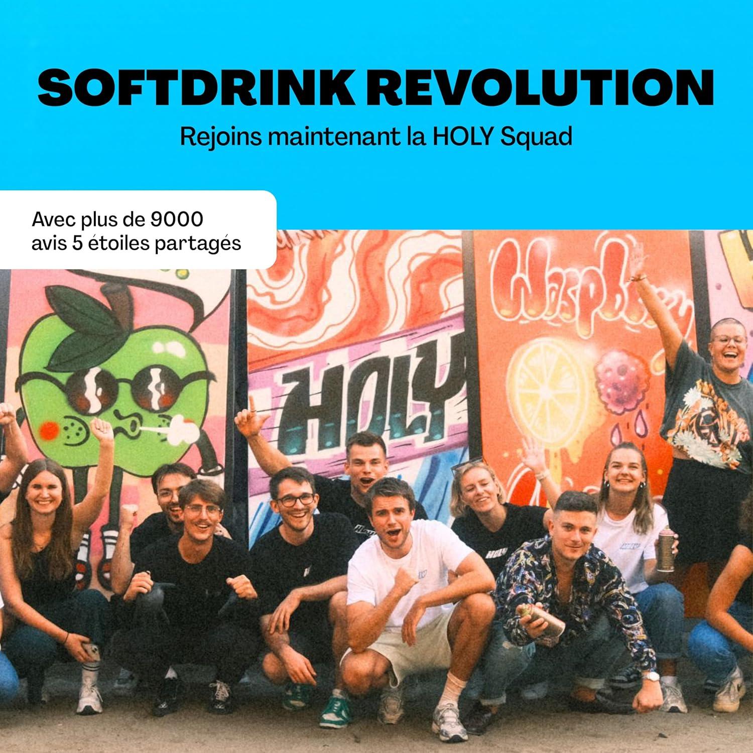 imageHOLY Hydration Kit de dmarrage Boisson sportive 2x7 portions au got fruit naturel Avec lectrolytes et minraux Vgtalien Sans sucreStarter Set HOLY Hydration
