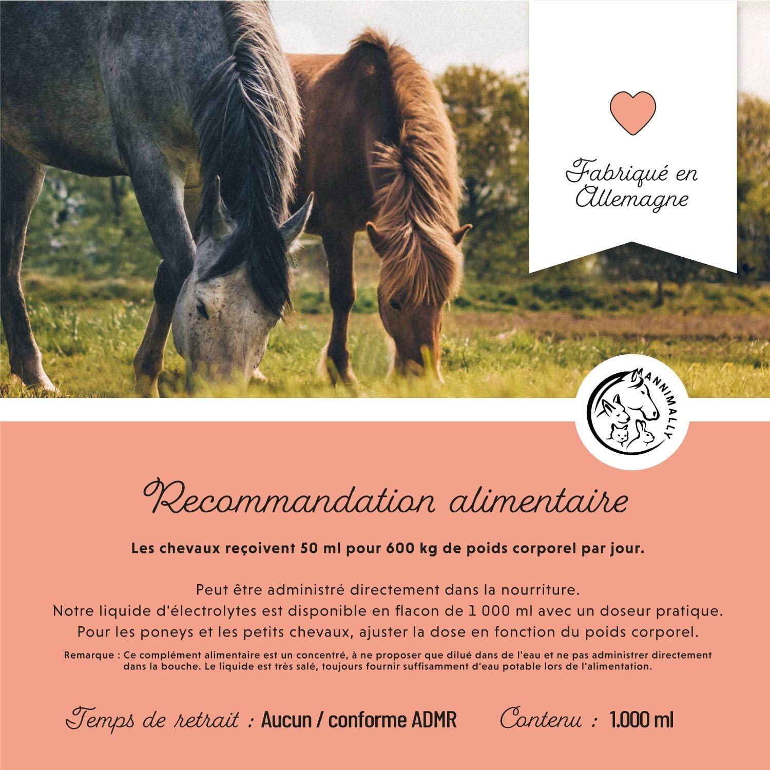 imageAnnimally lectrolytes Liquides pour Chevaux 1000ml avec Sodium Potassium Acerola Calcium Magnsium et Vitamine B liquides lectrolytes Liquides sans ajout de Sucre