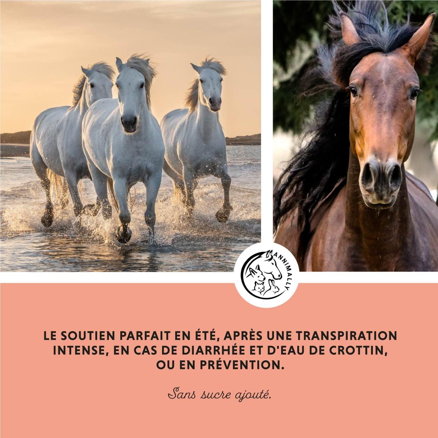 imageAnnimally lectrolytes Liquides pour Chevaux 1000ml avec Sodium Potassium Acerola Calcium Magnsium et Vitamine B liquides lectrolytes Liquides sans ajout de Sucre