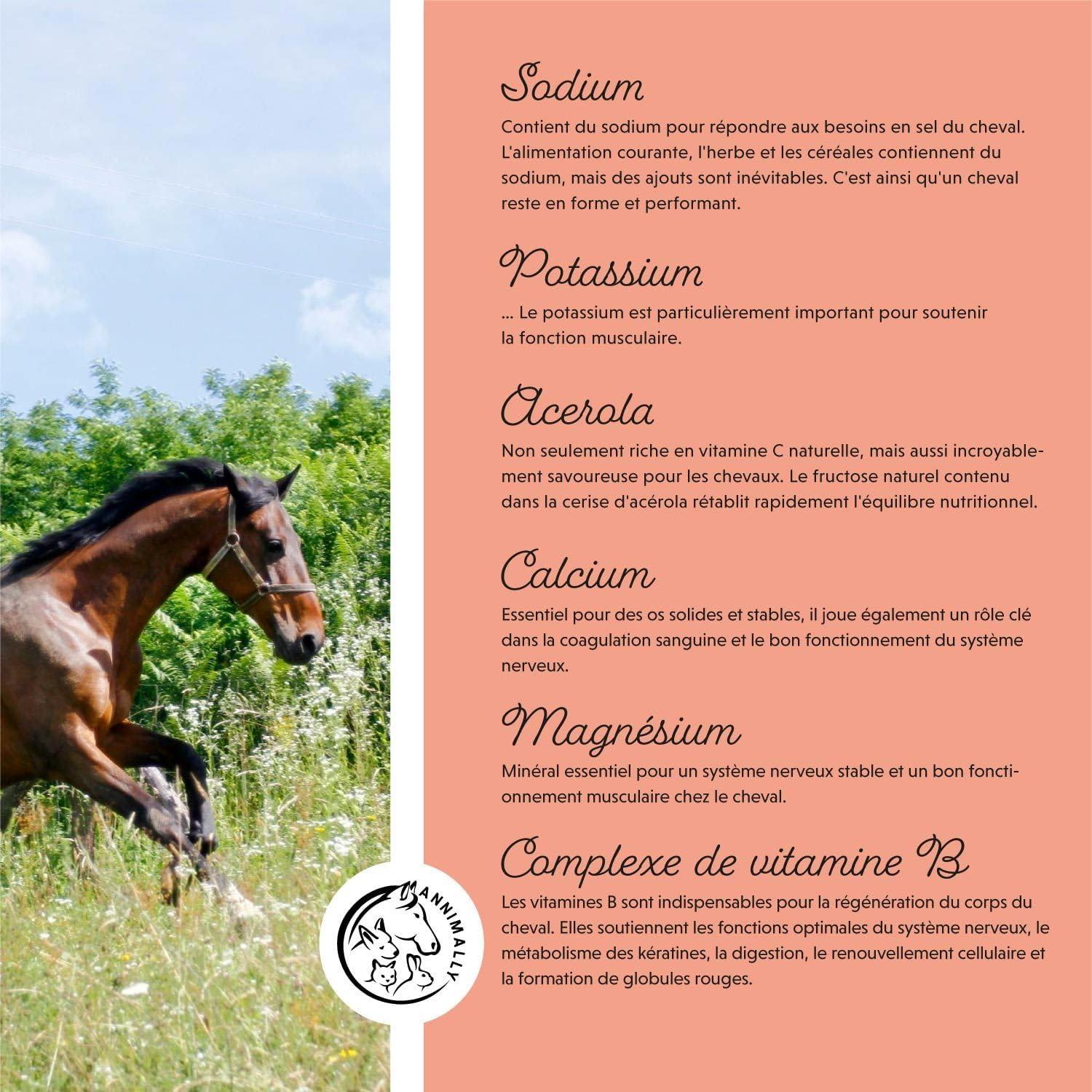 imageAnnimally lectrolytes Liquides pour Chevaux 1000ml avec Sodium Potassium Acerola Calcium Magnsium et Vitamine B liquides lectrolytes Liquides sans ajout de Sucre
