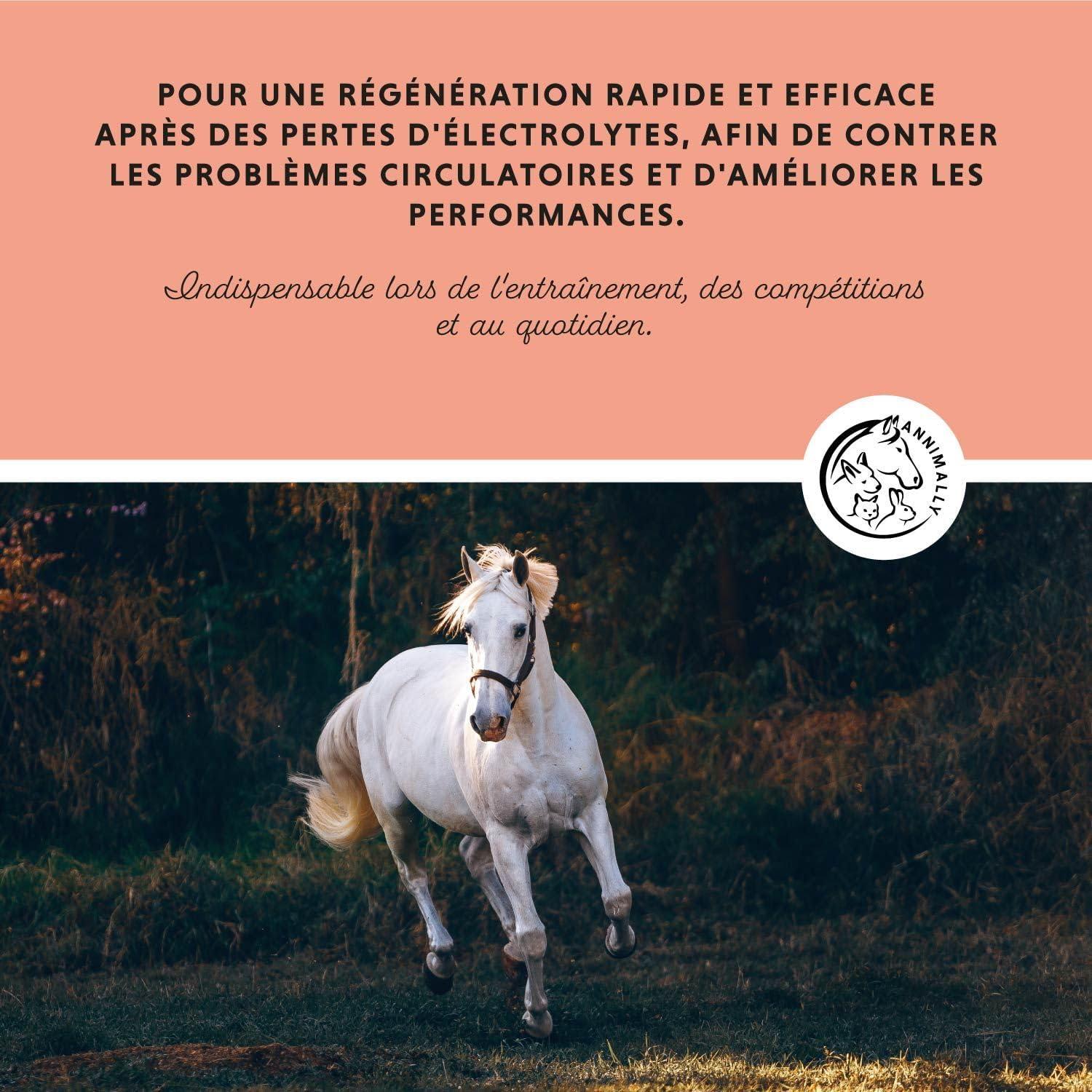 imageAnnimally lectrolytes Liquides pour Chevaux 1000ml avec Sodium Potassium Acerola Calcium Magnsium et Vitamine B liquides lectrolytes Liquides sans ajout de Sucre