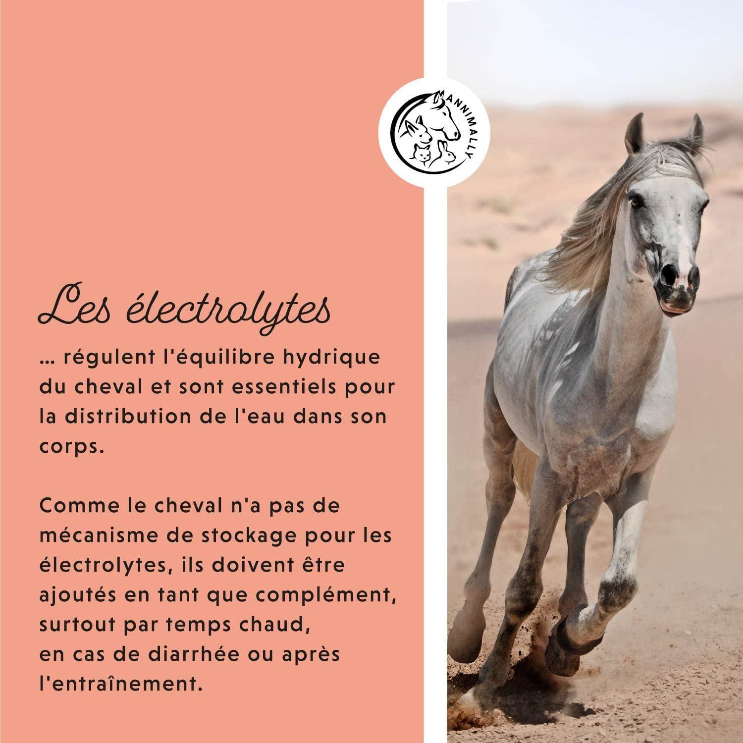 imageAnnimally lectrolytes Liquides pour Chevaux 1000ml avec Sodium Potassium Acerola Calcium Magnsium et Vitamine B liquides lectrolytes Liquides sans ajout de Sucre