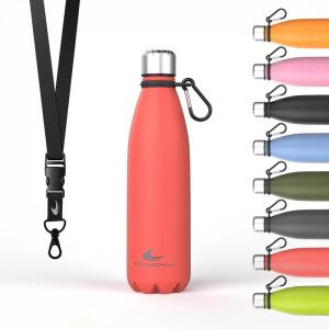Daikoku Gourde Isotherme – 500ml – Bouteille Isotherme en Acier Inoxydable sans BPA – 24h Froid & 12h Chaud – Double Paroi – Pour le Bureau, Sport, Voyages, L&rsquo;école – Grise(Coral)
