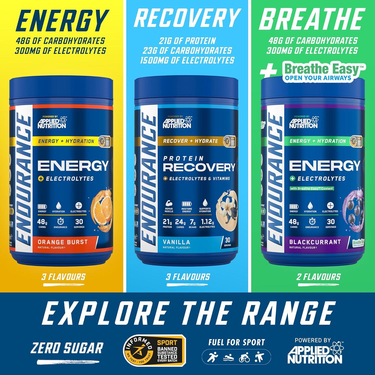 imageEndurance Energy Boisson en poudre riche en glucides et lectrolytes Quick Energy pour sports de performance 15 kg 30 portions cassisCassis