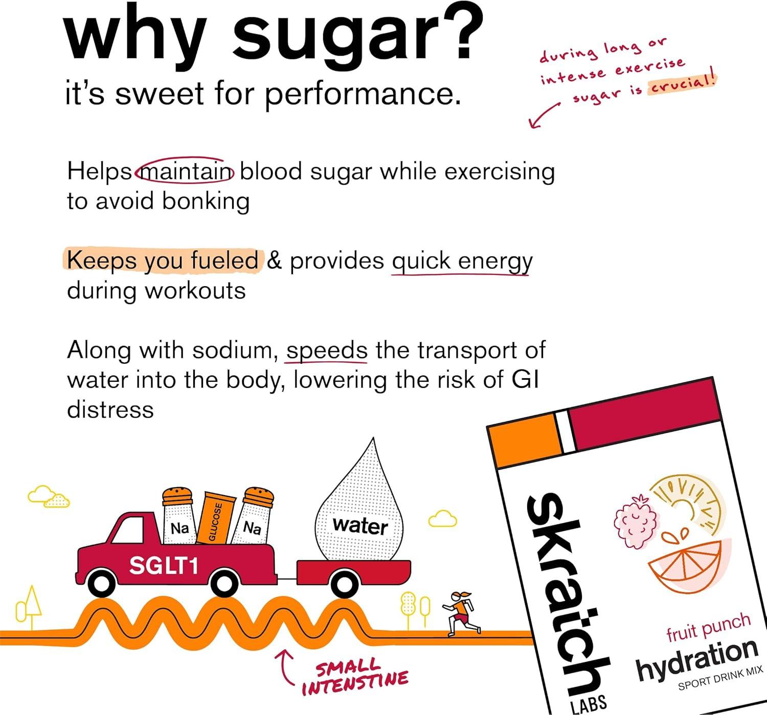 imageSKRATCH LABS Sport Hydration Drink Mix Poudre de glucides et dlectrolytes 440g Punch aux fruits Endurance entranement comptition Sans gluten Vegan Keto