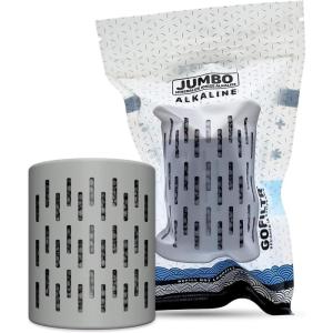 GOFILTR Infuseur à eau alcaline en magnésium Jumbo – 9,5 pH + électrolytes pour toutes grandes bouteilles d&rsquo;eau/pichets, 3 mois, infuseur d&rsquo;eau alcaline minérale ionisée (lot de 1)(Jumbo Alcaline)