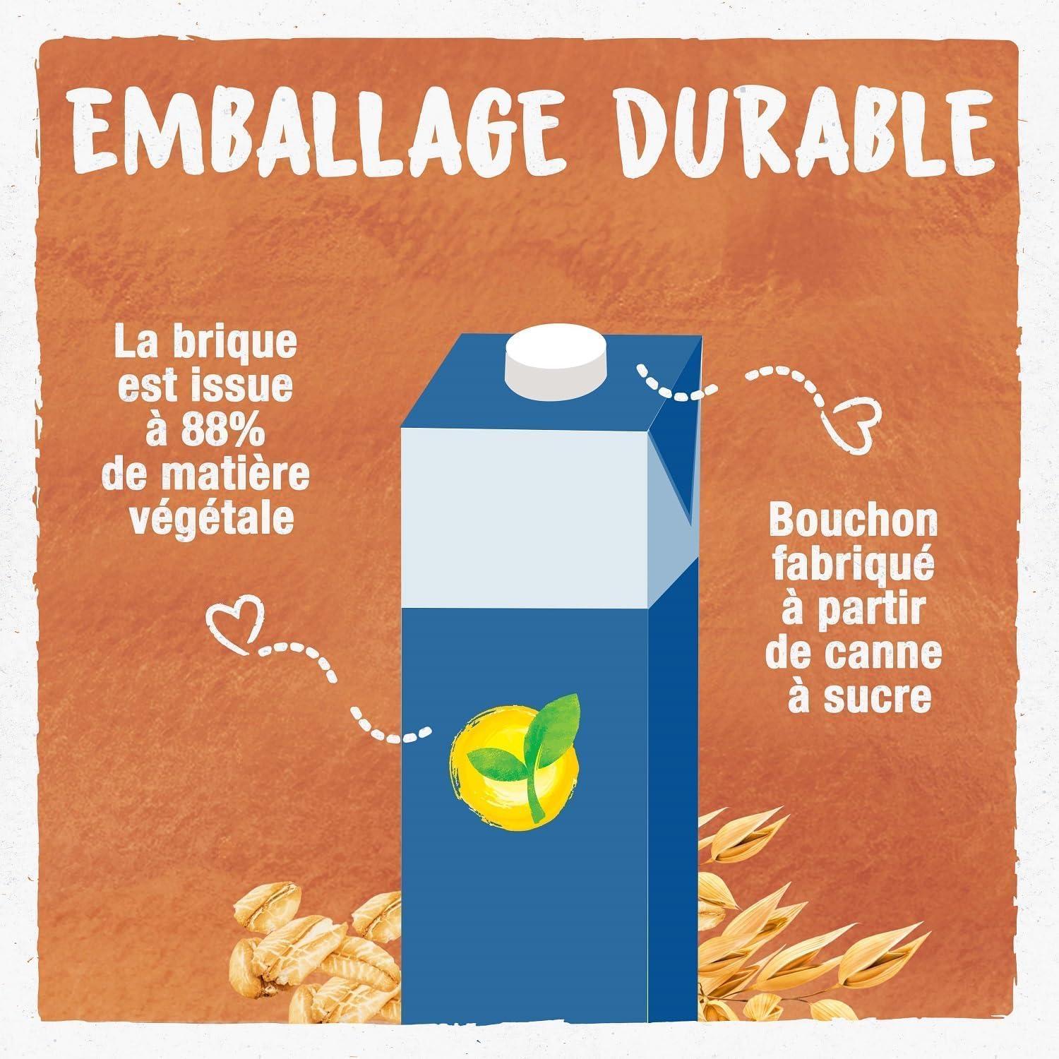 imageBJORG Boisson 3 Noix Sans Sucres Ajouts 100 Vgtal Mlange Noisettes Amandes et Noix de Macadamia Riche en Protines coreponsable 1LLe forfait peut varierAvoine Lot de 6