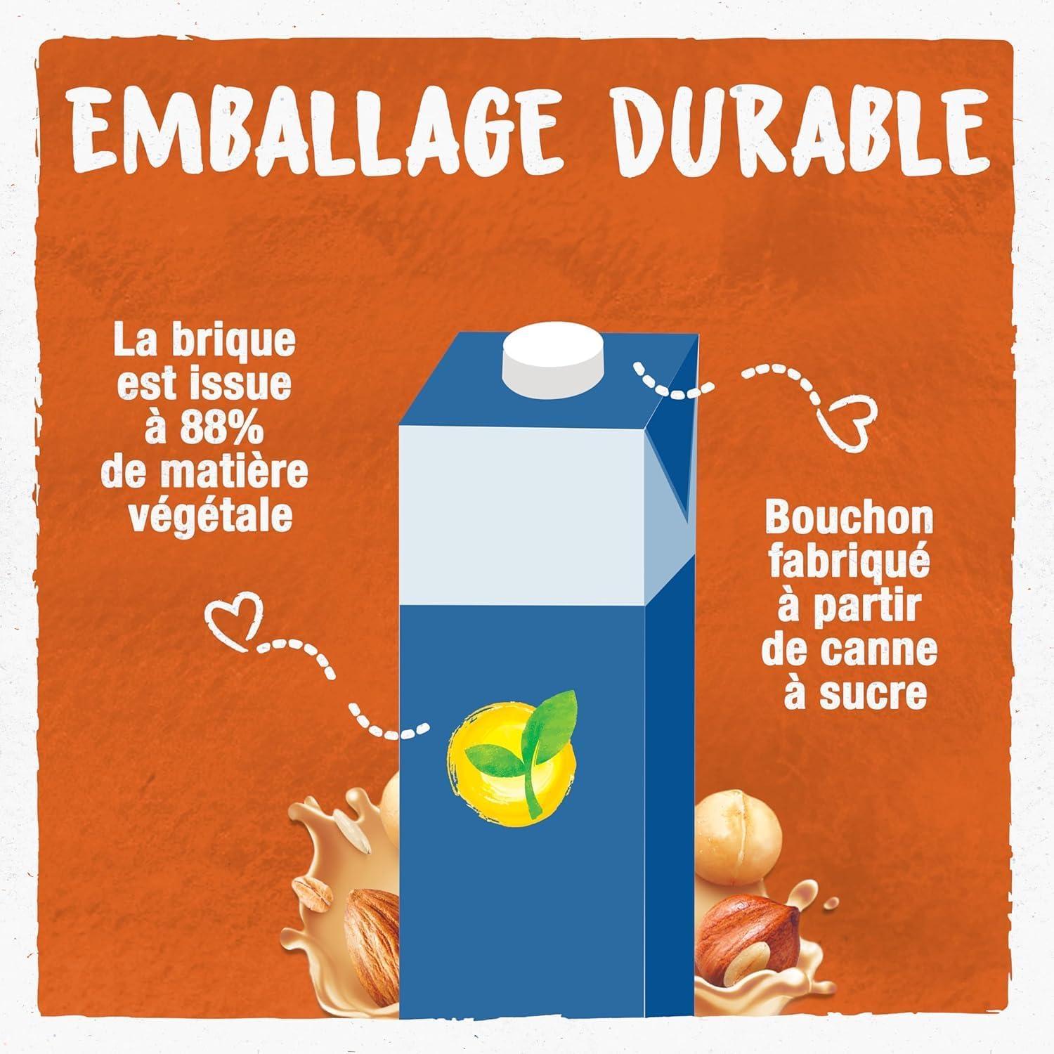 imageBJORG Boisson 3 Noix Sans Sucres Ajouts 100 Vgtal Mlange Noisettes Amandes et Noix de Macadamia Riche en Protines coreponsable 1LLe forfait peut varier3 Noix Lot Unitaire