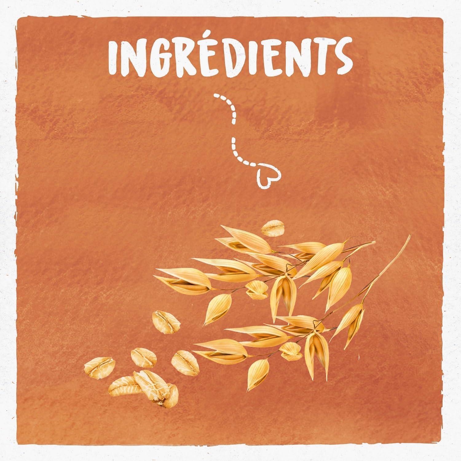 imageBJORG Boisson 3 Noix Sans Sucres Ajouts 100 Vgtal Mlange Noisettes Amandes et Noix de Macadamia Riche en Protines coreponsable 1LLe forfait peut varierAvoine Lot de 6
