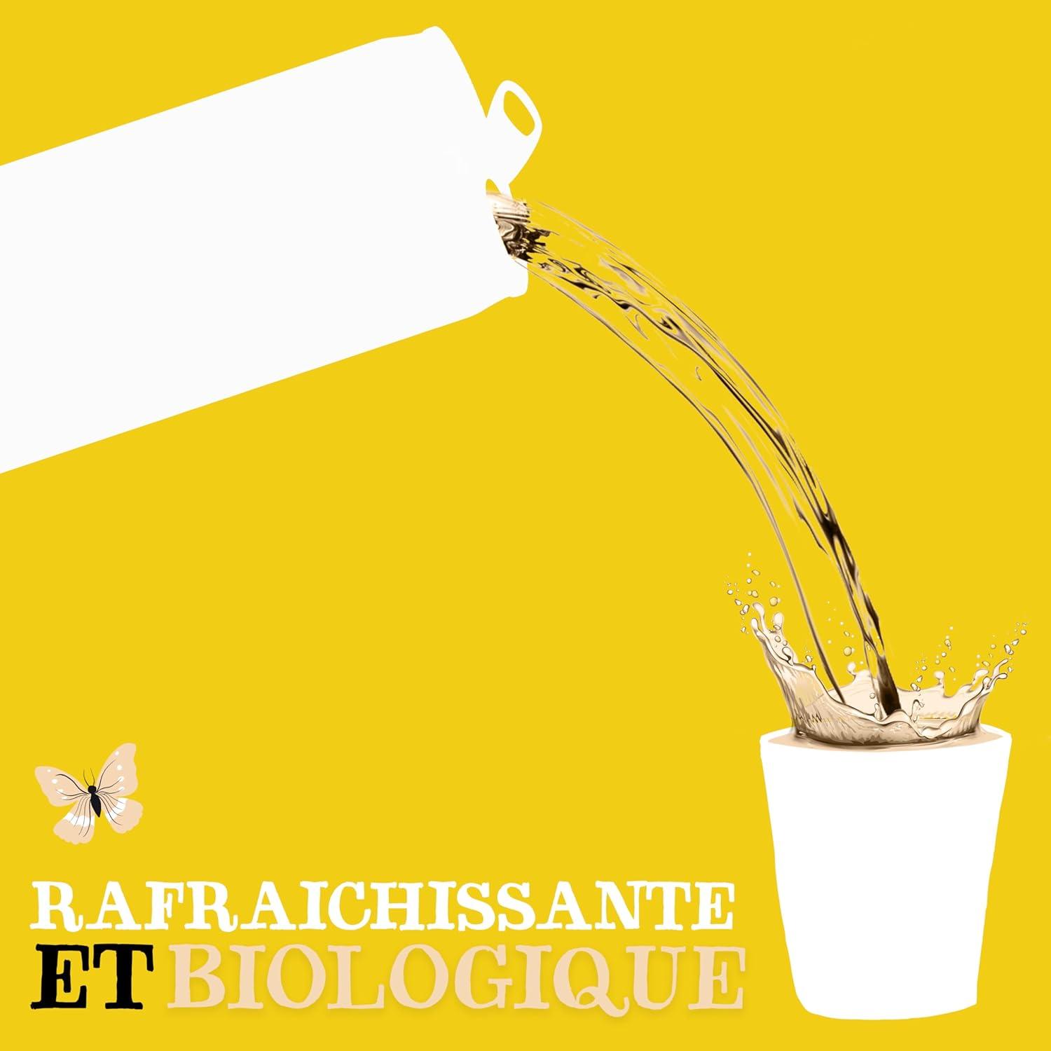 imageCLIPPER Boisson Rafraichissante Bio Fusion Citron Gingembre Rooibos Sans sucre ajouts 25cl x 12Gingembre