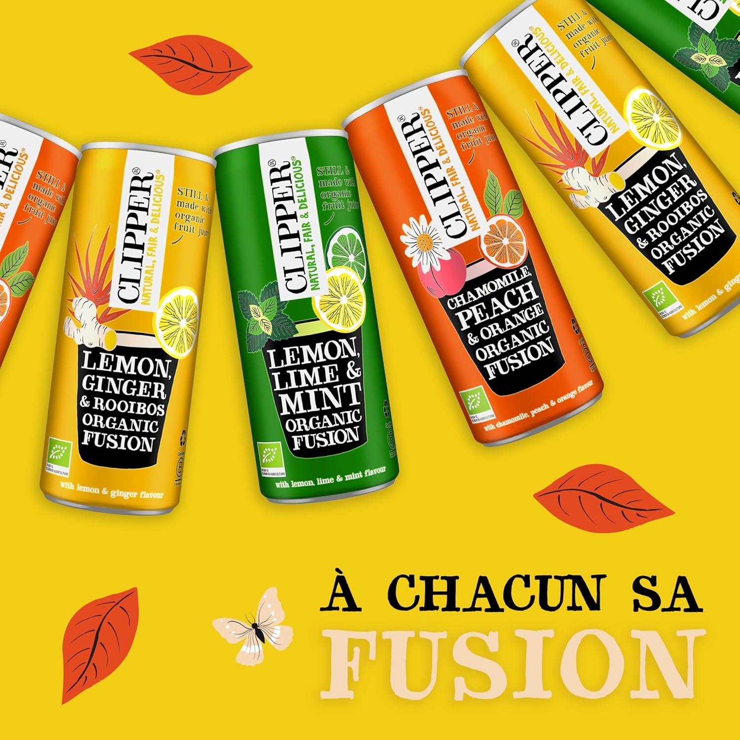 imageCLIPPER Boisson Rafraichissante Bio Fusion Citron Gingembre Rooibos Sans sucre ajouts 25cl x 12Gingembre