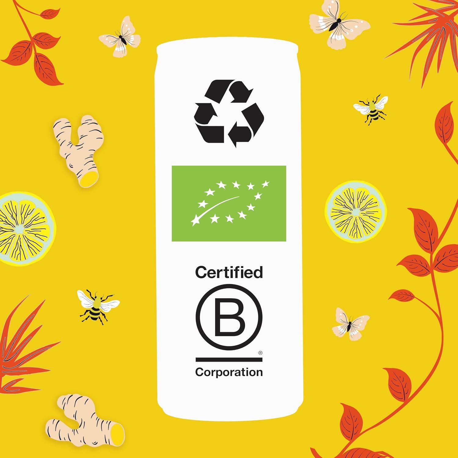 imageCLIPPER Boisson Rafraichissante Bio Fusion Citron Gingembre Rooibos Sans sucre ajouts 25cl x 12Gingembre