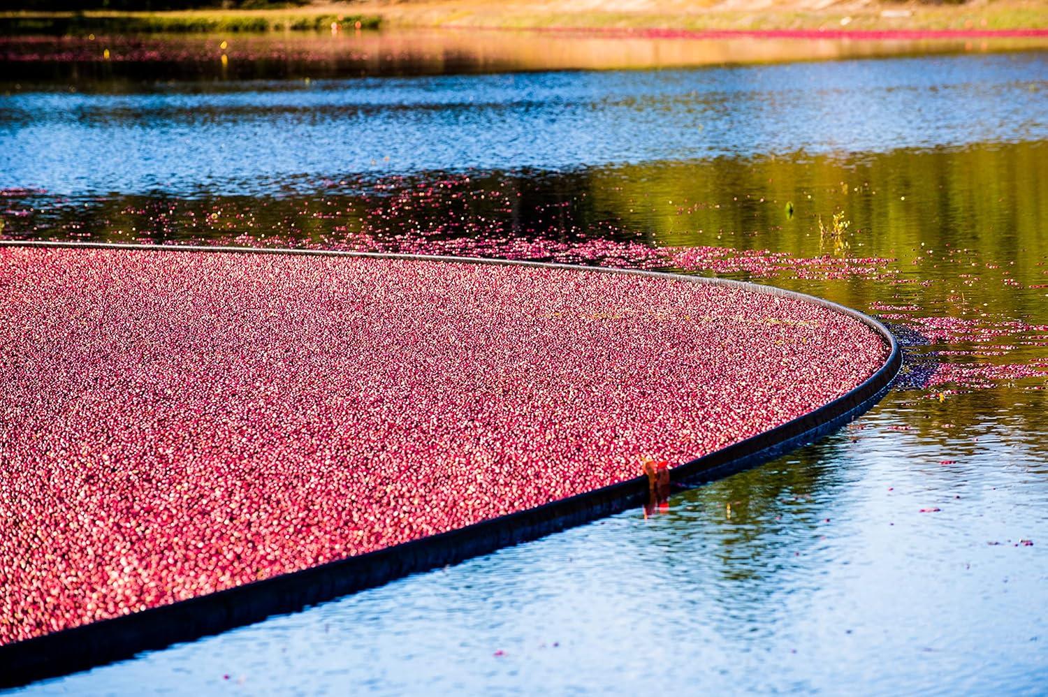 imageOCEAN SPRAY Bouteille de jus de Cranberry et Framboise Faible en sucres 1 Litre Carton de 6 bouteilles