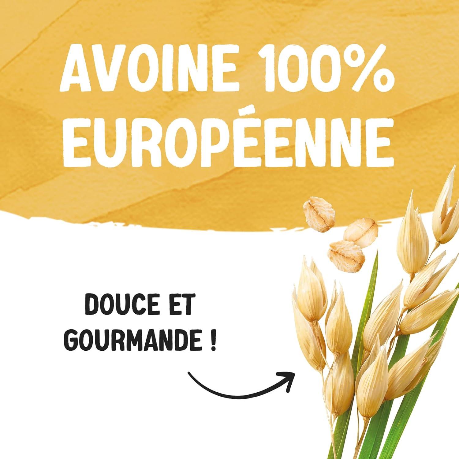 imageAlpro Spcial pour Caf Avoine Boisson Vgtale Avoine Barista Facile Mousser Naturellement Sans Lactose Sans Sucres Ajouts Source de Fibres ampamp Vitamines B2 ampamp D2 8x750 mLAvoine