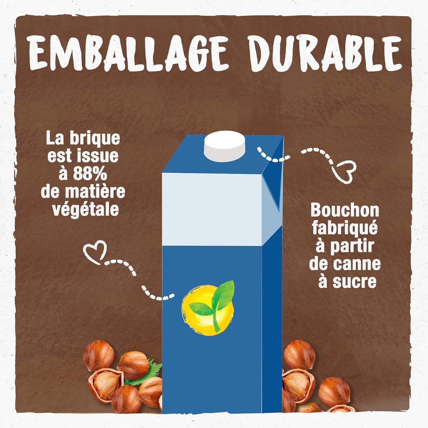 imageBJORG Boisson Noisette Sans Sucre Boisson Vgtale Bio Pauvre En Acides Gras Saturs 1LNoisette 6 x 1L