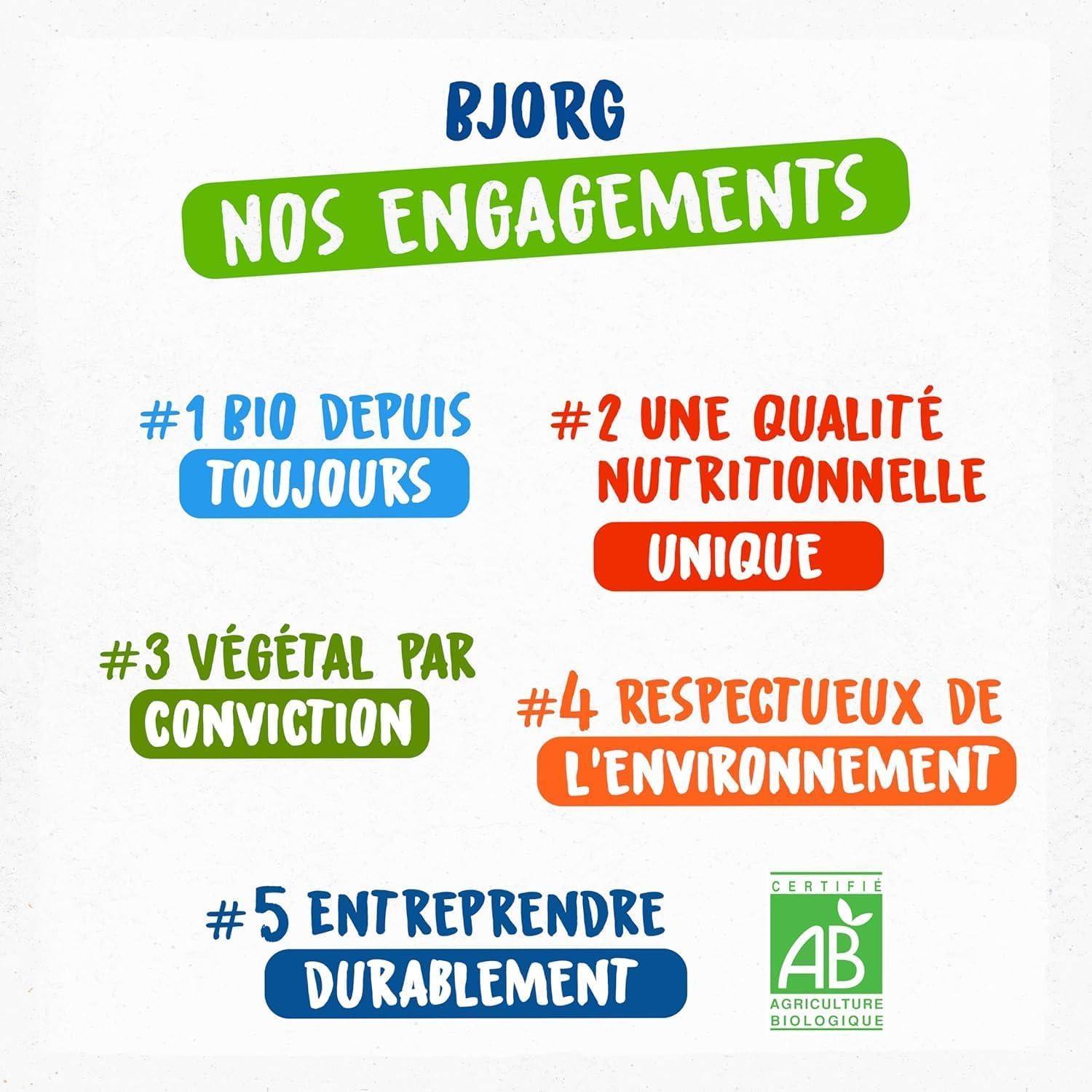 imageBJORG Boisson Avoine Boisson Vgtale Bio Sans Sucres Ajouts Pauvre En Matires Grasses Format Familial 3 x 1L250 ml Lot de 3