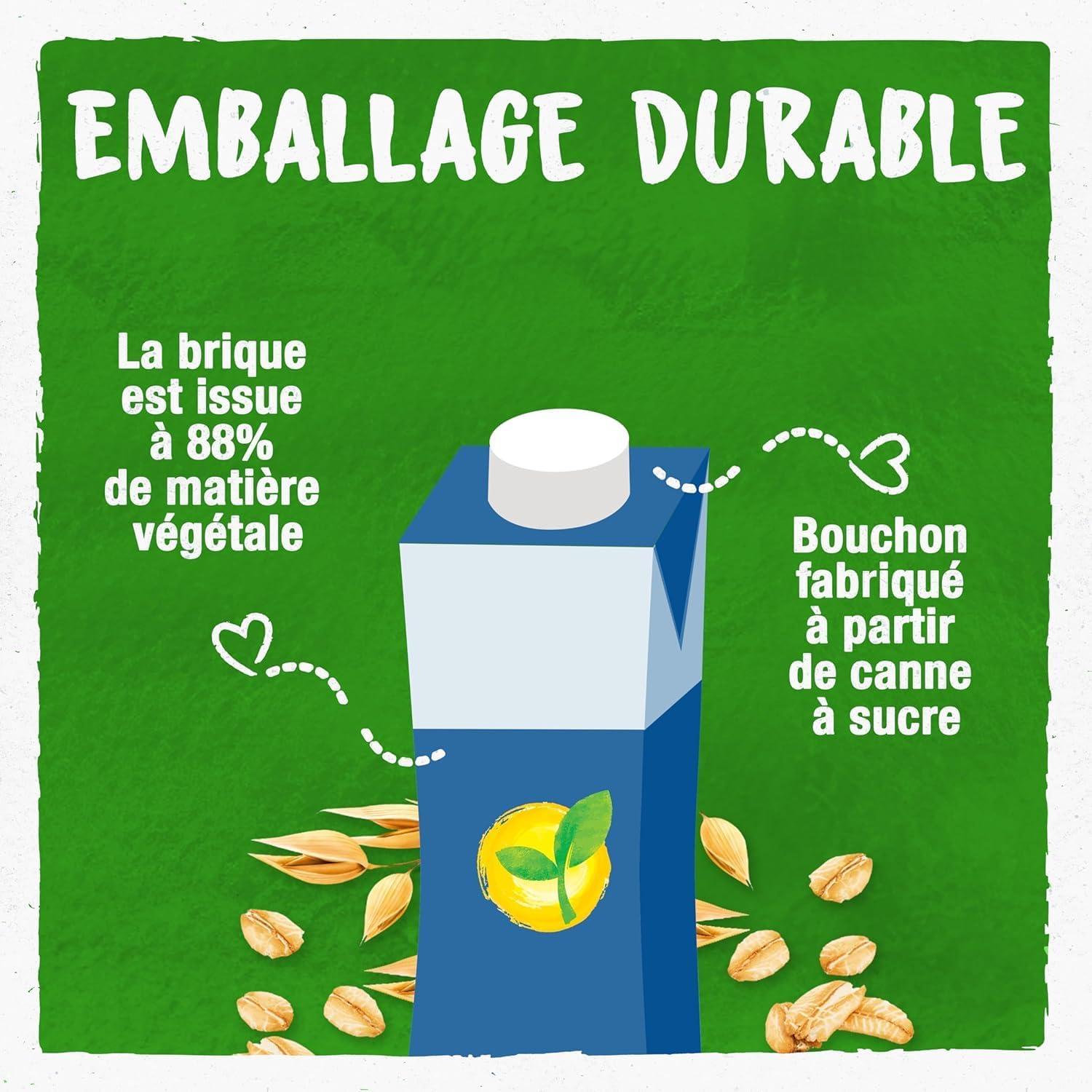 imageBJORG Boisson Avoine Boisson Vgtale Bio Sans Sucres Ajouts Pauvre En Matires Grasses Format Familial 3 x 1L250 ml Lot de 3