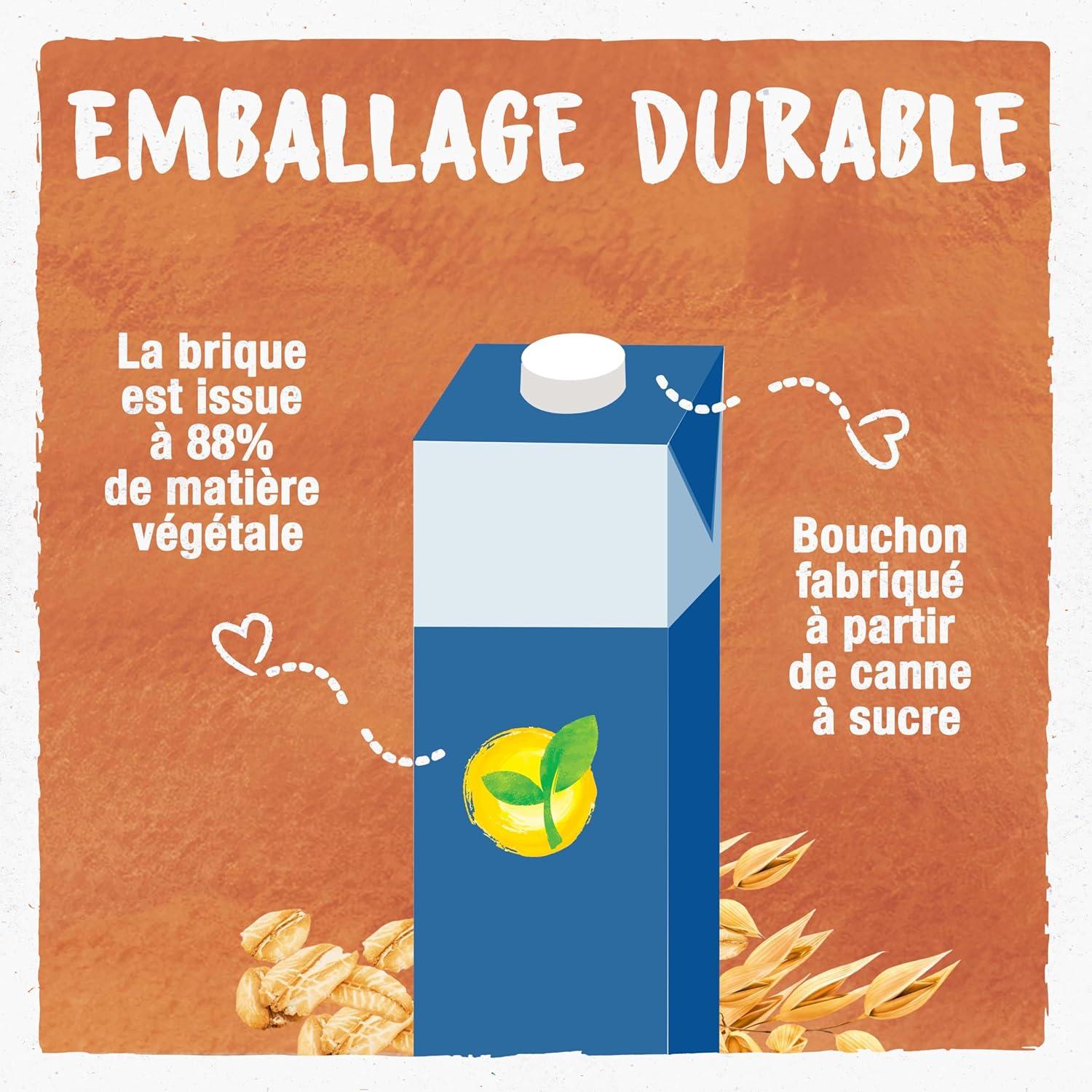 imageBJORG Boisson Avoine Boisson Vgtale Bio Sans Sucres Ajouts Pauvre En Matires Grasses Format Familial 3 x 1L3 l Lot de 1