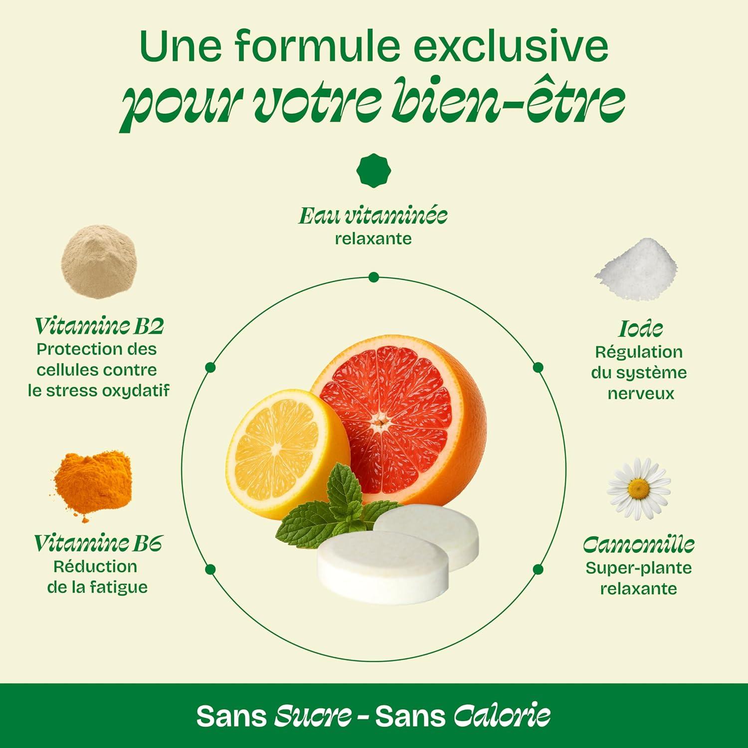imageHYDROLOGY Eau Aromatise Pastilles sans sucre Boisson vitamine soutien immunitaire Hydratation quotidienne 15 pastilles effervescentes Vgan ampamp naturel Citron Vert Gingembre ImmunitCitron Menthe Pamplemousse