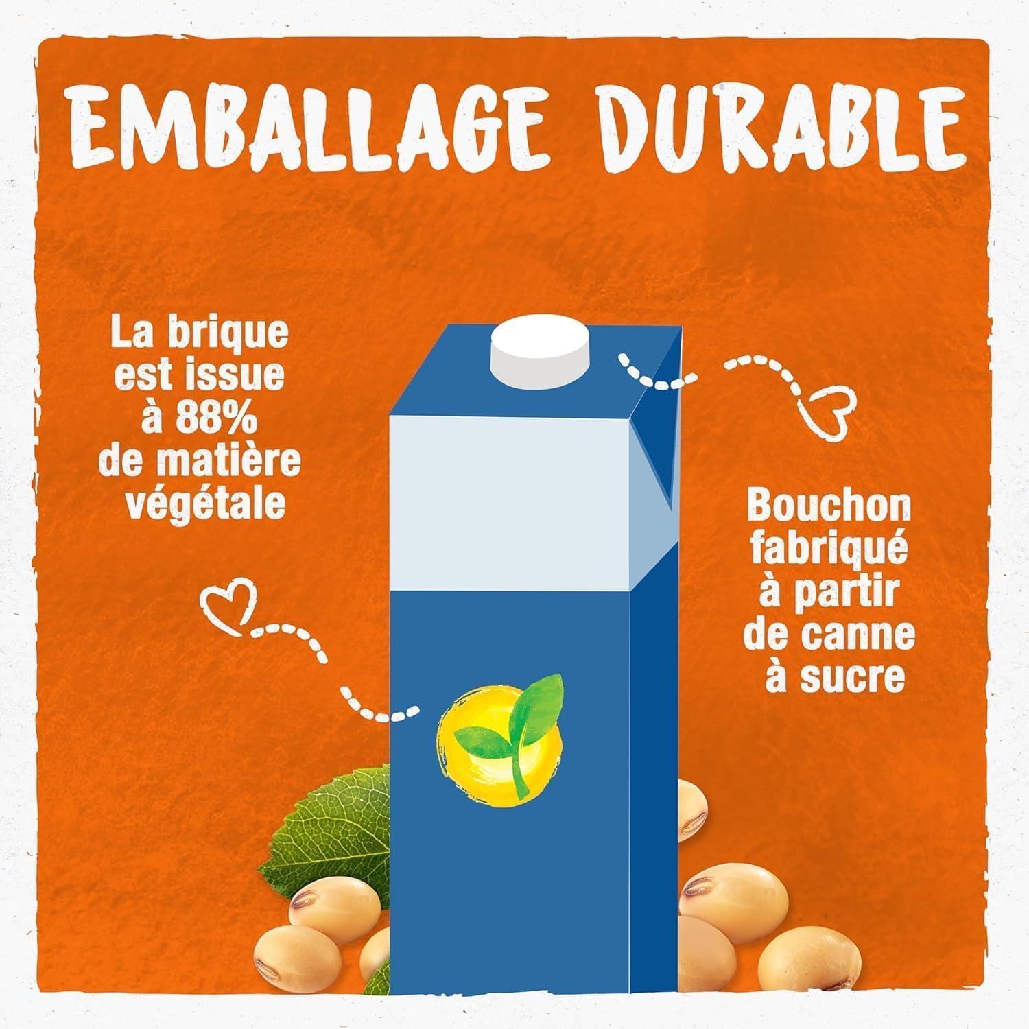 imageBJORG Boisson Vgtale Soja Sans Sucres Boisson Bio Riche en Protines 1 L x 6Douceur