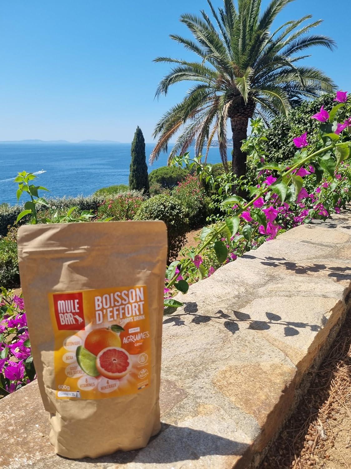 imageMULEBAR Boisson DHydratation En Poudre Fruits Rouges Antioxydant 8 Vitamines 5 Minraux Electrolytes Got Trs Peu Sucr Facile Digrer Fabriqu En France 250grAgrumes