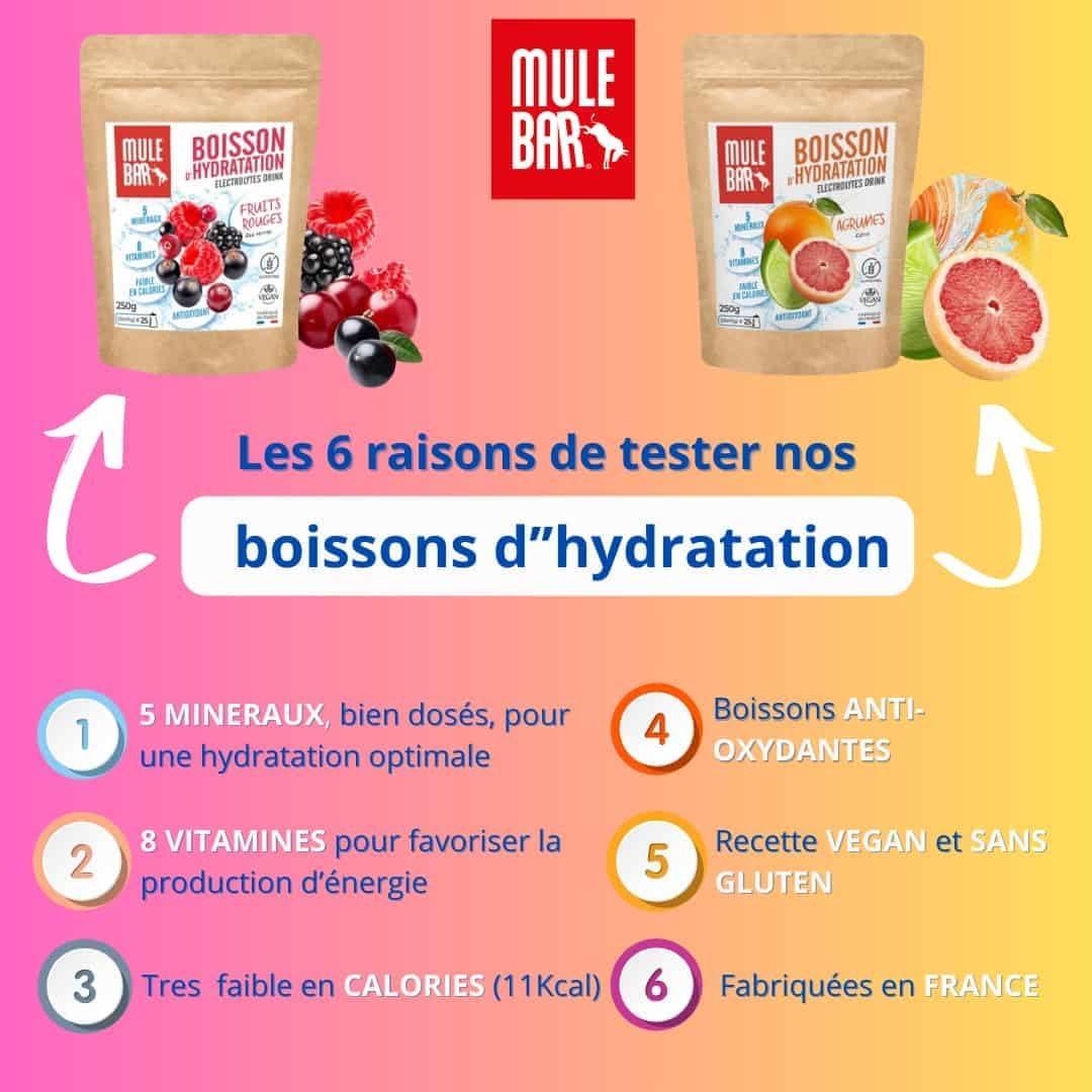 imageMULEBAR Boisson DHydratation En Poudre Fruits Rouges Antioxydant 8 Vitamines 5 Minraux Electrolytes Got Trs Peu Sucr Facile Digrer Fabriqu En France 250grAgrumes