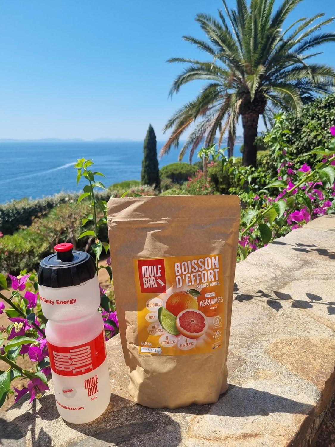 imageMULEBAR Boisson DHydratation En Poudre Fruits Rouges Antioxydant 8 Vitamines 5 Minraux Electrolytes Got Trs Peu Sucr Facile Digrer Fabriqu En France 250grAgrumes