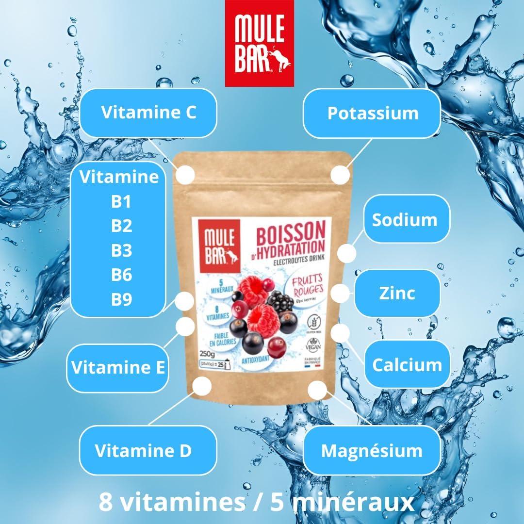 imageMULEBAR Boisson DHydratation En Poudre Fruits Rouges Antioxydant 8 Vitamines 5 Minraux Electrolytes Got Trs Peu Sucr Facile Digrer Fabriqu En France 250grFruits Rouges