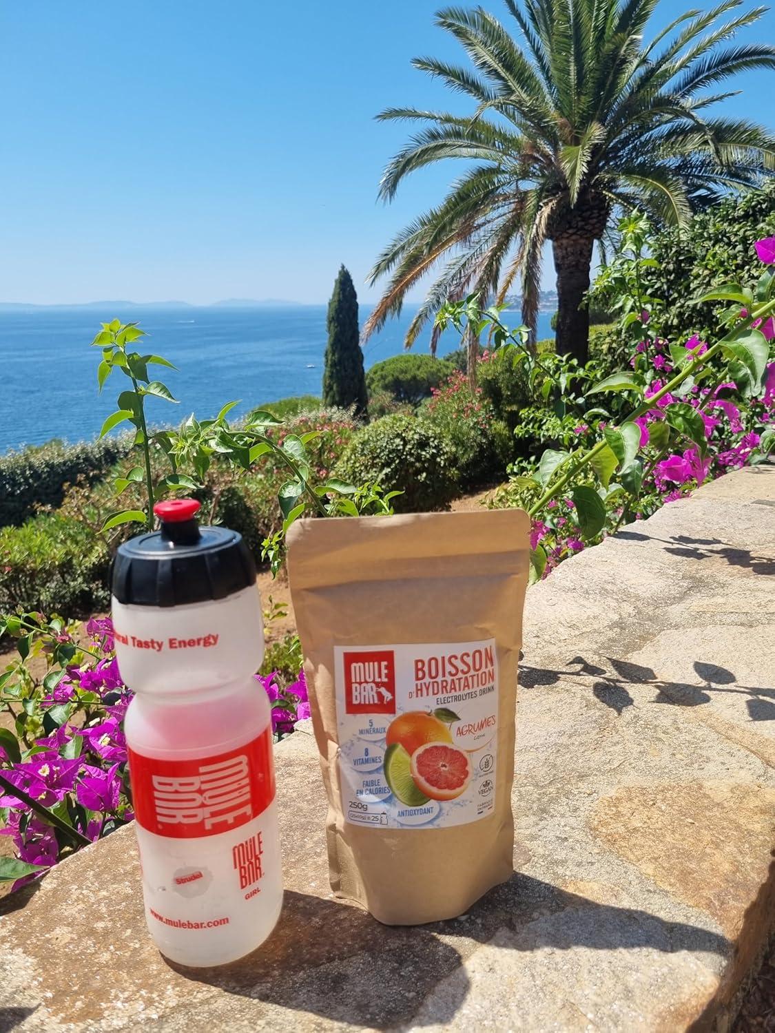 imageMULEBAR Boisson DHydratation En Poudre Fruits Rouges Antioxydant 8 Vitamines 5 Minraux Electrolytes Got Trs Peu Sucr Facile Digrer Fabriqu En France 250grAgrumes