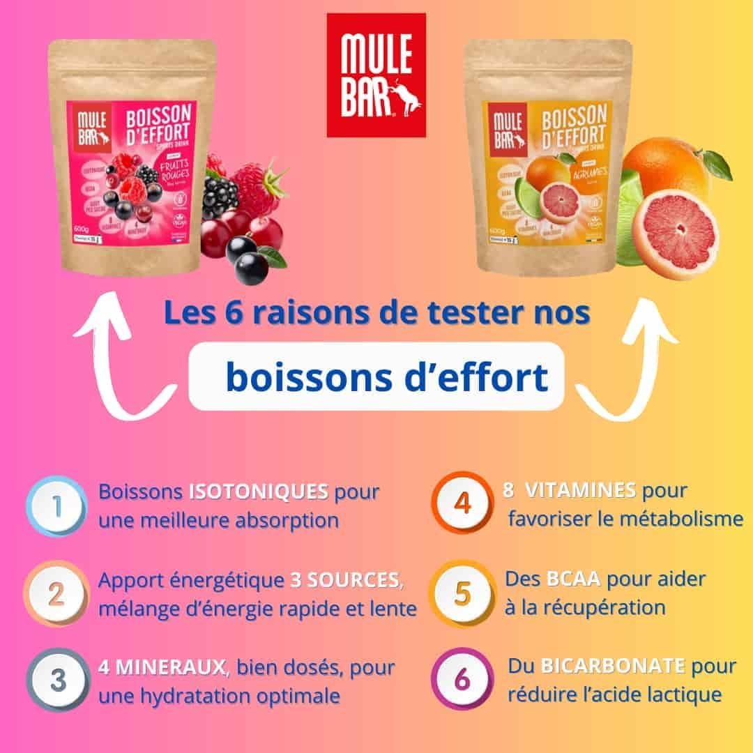 imageMULEBAR Boisson DHydratation En Poudre Fruits Rouges Antioxydant 8 Vitamines 5 Minraux Electrolytes Got Trs Peu Sucr Facile Digrer Fabriqu En France 250grAgrumes