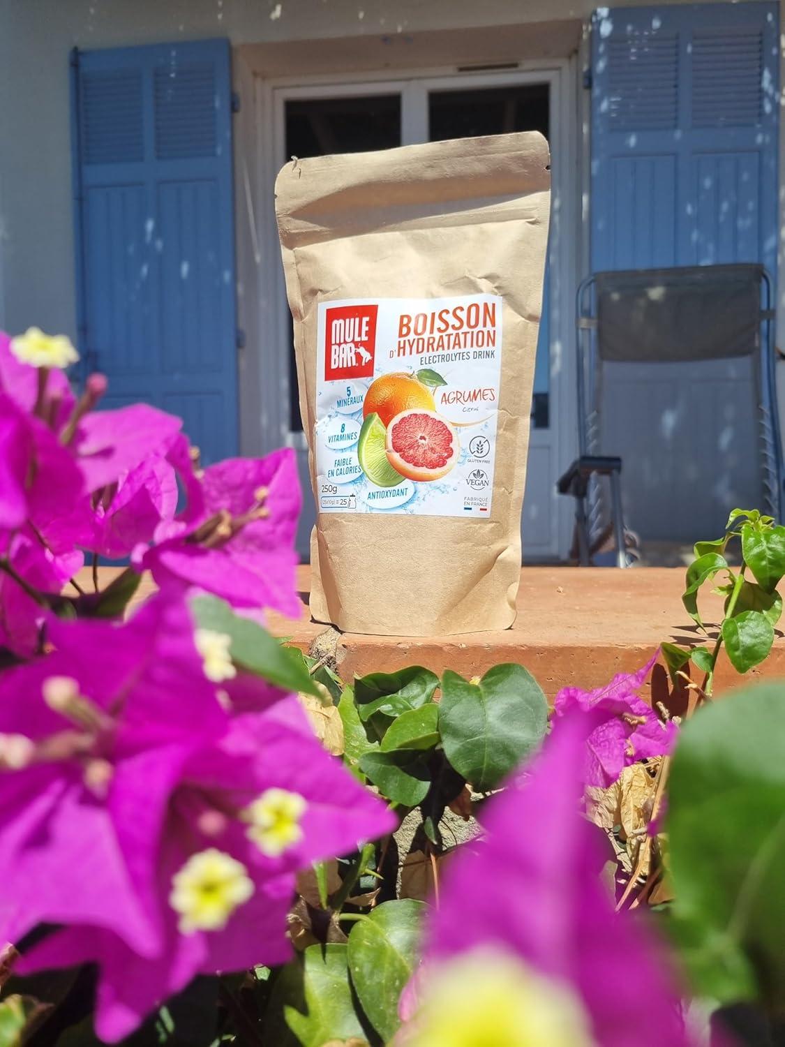 imageMULEBAR Boisson DHydratation En Poudre Fruits Rouges Antioxydant 8 Vitamines 5 Minraux Electrolytes Got Trs Peu Sucr Facile Digrer Fabriqu En France 250grAgrumes
