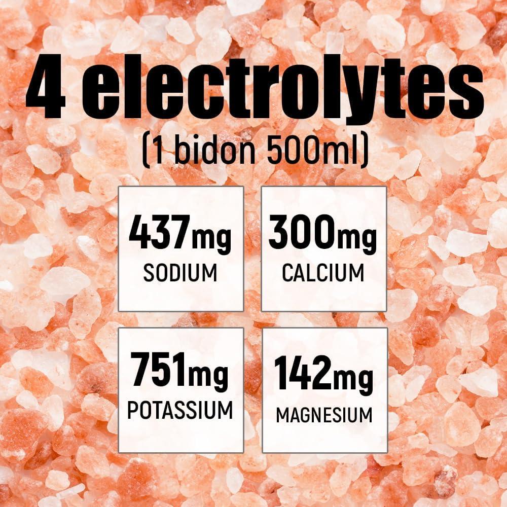 imageOverstims Boisson nergtique Hydrixir Ultra 400g 3 sources de glucides 4 lectrolytes 6 vitamines BCAA Glutamine Bicarbonate de sodium Saveur peu sucre Fruits rougesCitron Citronvert