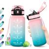 17oz-500ml | Paille | Rose + Cyan