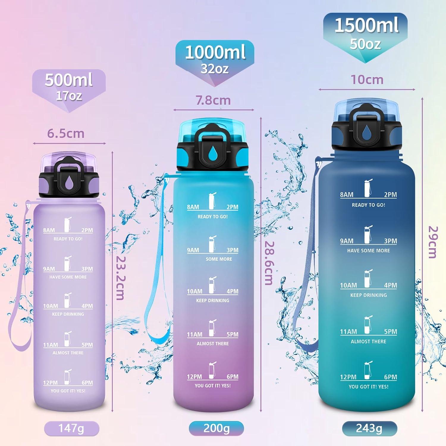 imageHoneyHolly Gourde 15L Bouteille Gourde Sport avec Paille Water Bottle Motivation avec Marqueur de Temps Water Bottle tanche Bouteille deau pour Randonne Camping Fitness CyclismeBlack With Label Color 1000 Ml