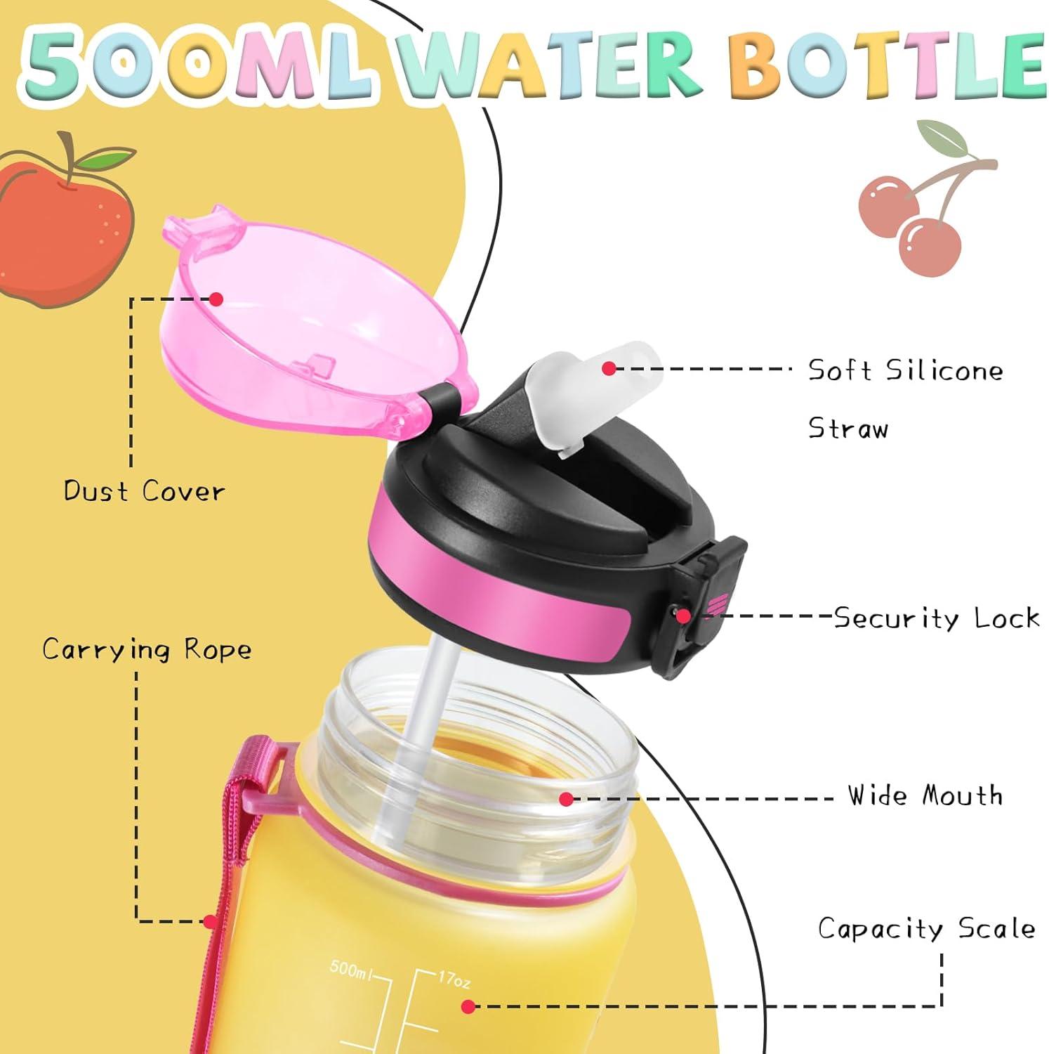 image:imageGourde 1l Gourde Sport Anti Fuite Gourdes Gradue pour 1 Journee Facile Transporter Gourd Gradue Gourdes de Camping et Randonne avec Slogan de Motivation Bouteille deau pour Yoga VoyageJaunerose
