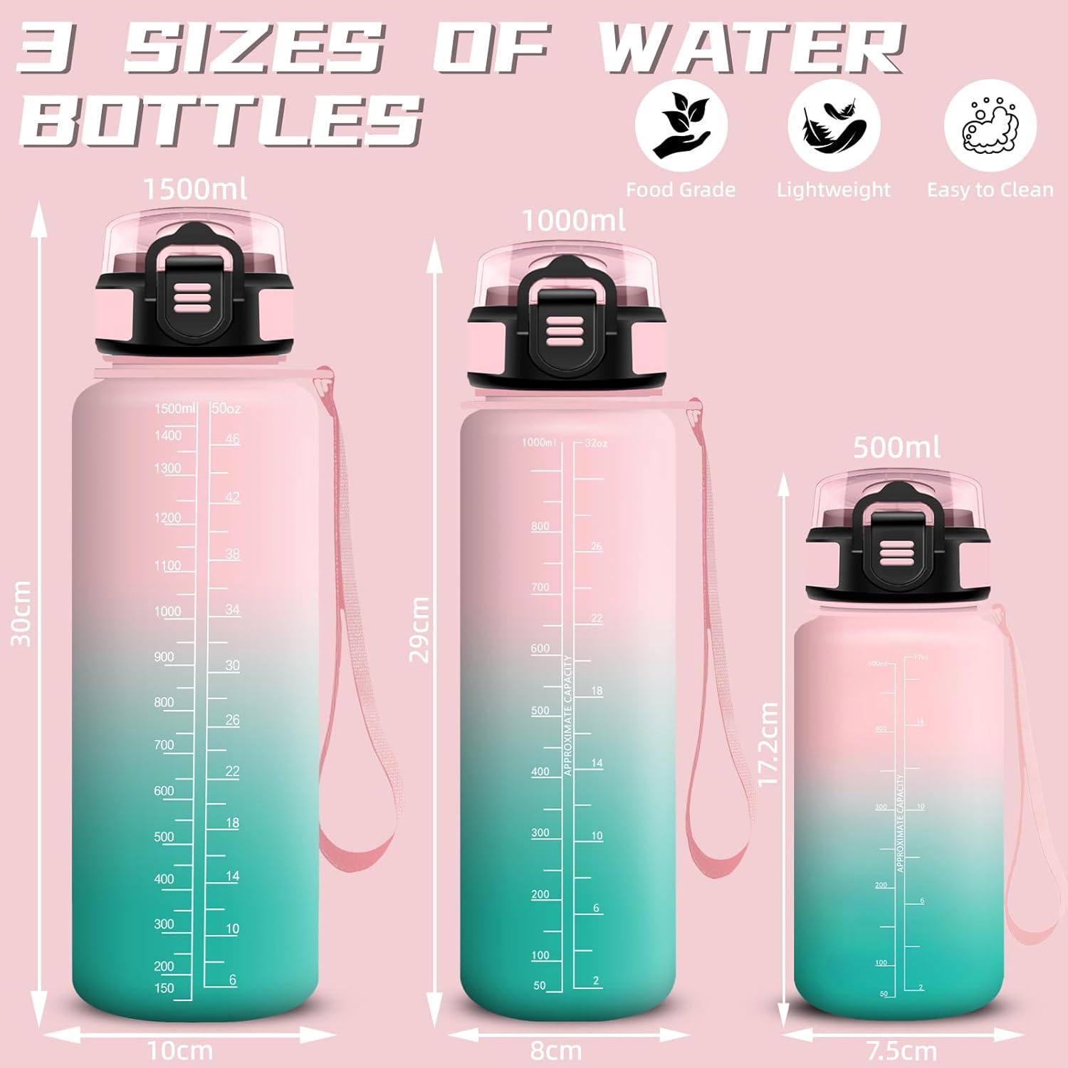 image:imageGourde 1l Gourde Sport Anti Fuite Gourdes Gradue pour 1 Journee Facile Transporter Gourd Gradue Gourdes de Camping et Randonne avec Slogan de Motivation Bouteille deau pour Yoga VoyageRosevert