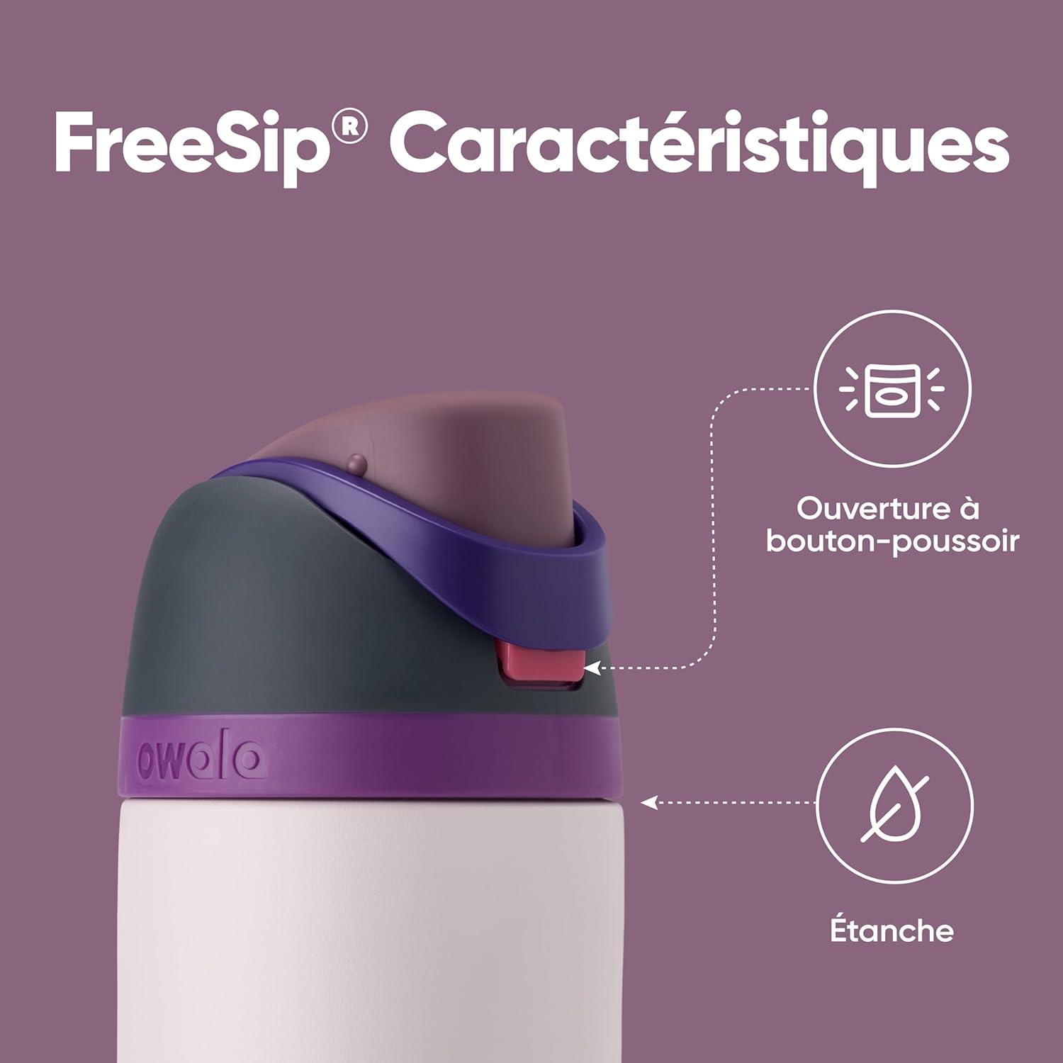 image:imageOwala FreeSip gourde isotherme en inox avec paille et couvercle 710 ml sans BPA garde frais pendant 24 heures pour le sport et les voyages Foggy TideDreamy Field
