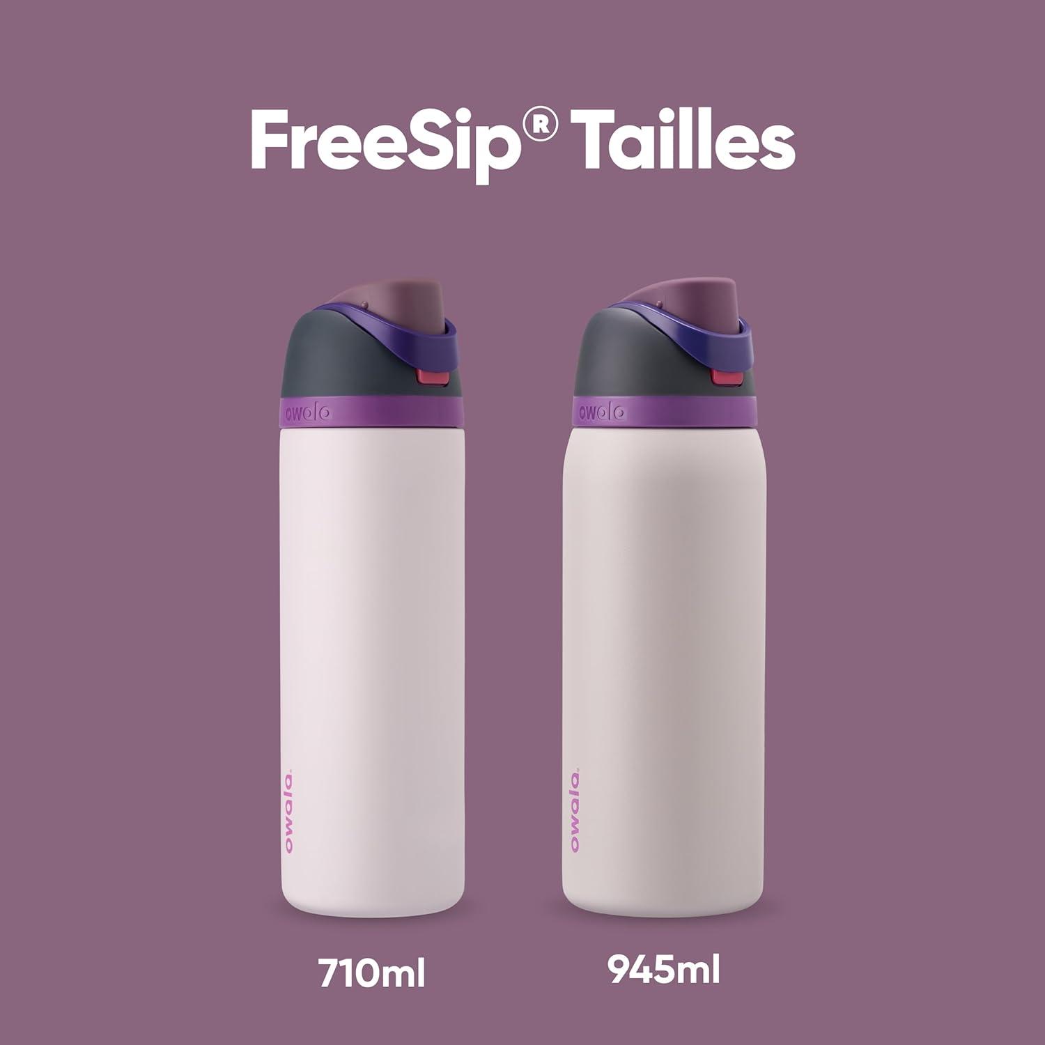 image:imageOwala FreeSip gourde isotherme en inox avec paille et couvercle 710 ml sans BPA garde frais pendant 24 heures pour le sport et les voyages Foggy TideDreamy Field