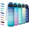 17oz-500ml | Bleu + Vert