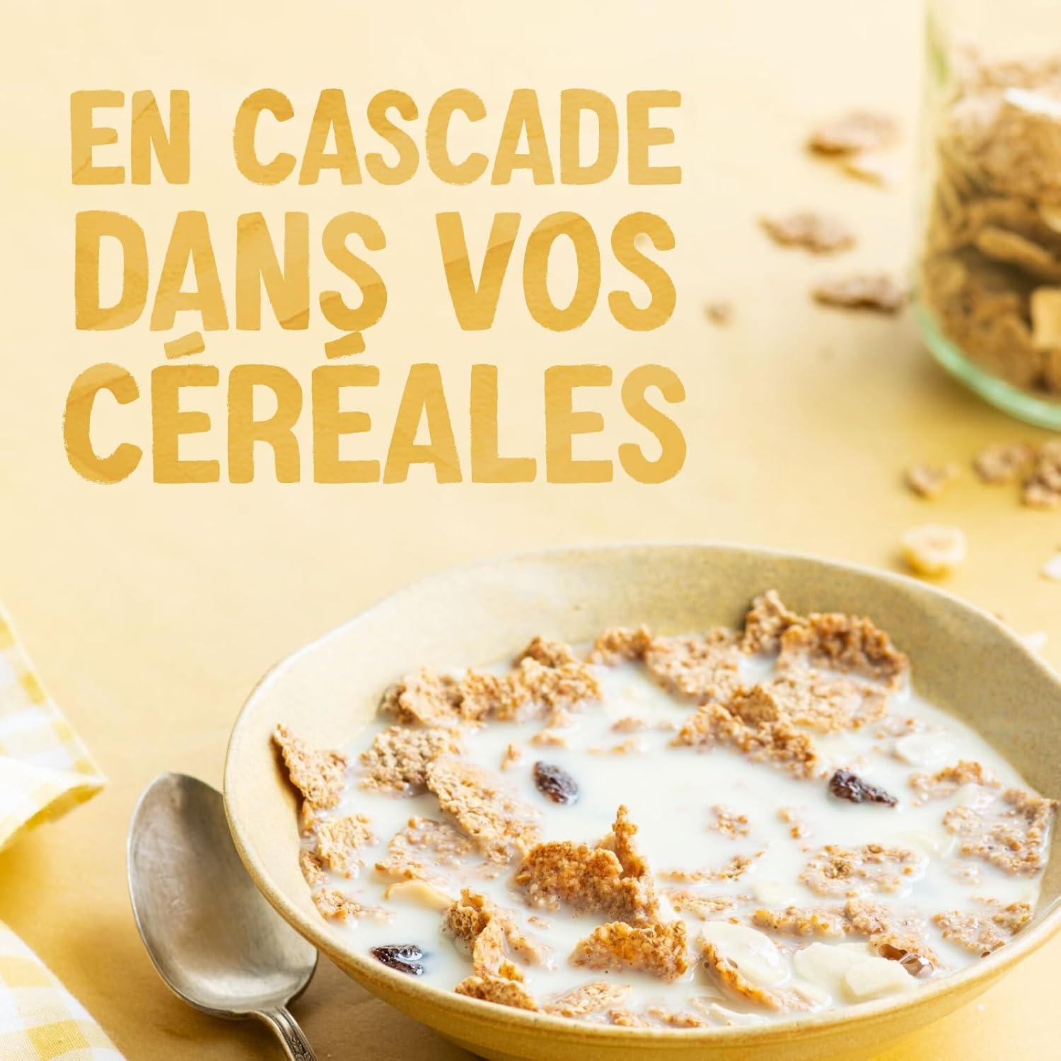 image:imageAlpro Avoine Boisson Vgtale Avoine 100 Europenne Riche en Fibres Sans Sucres Ajouts Sans Lactose Source de Calcium et Vitamines B2 ampamp D2 Texture Onctueuse Format Pratique 8x500mL