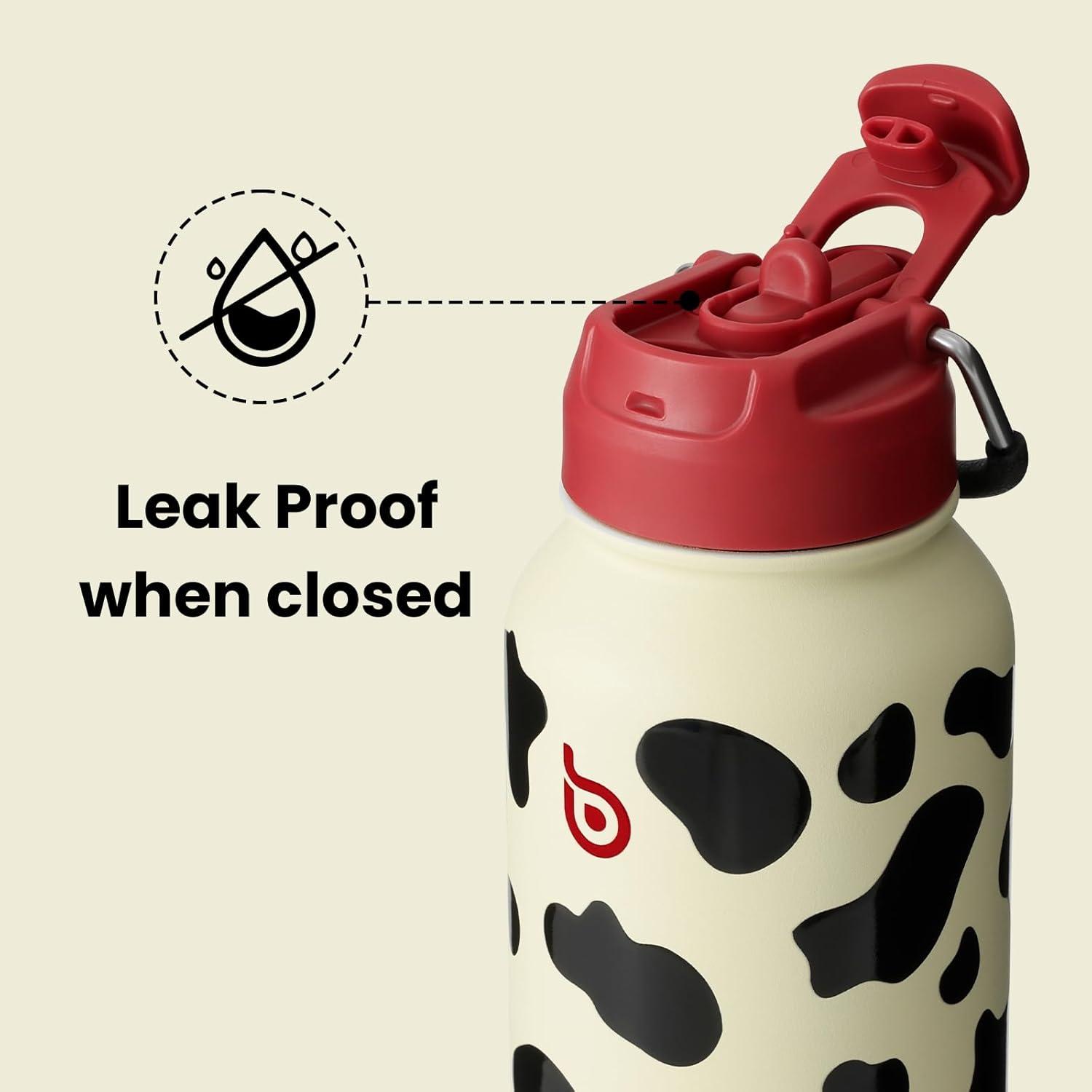 image:imageBOTTLE BOTTLE Bouteille deau isotherme en acier inoxydable de 946 ml avec paille et couvercle double usage pour salle de sport avec pilulier ciel tVache