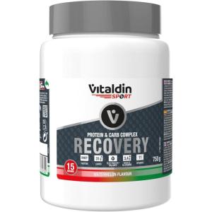 VITALDIN SPORT Protein & Carb Complex Recovery – Boisson en Poudre avec Whey Protein, Glucides, Électrolytes, BCAA, Glutamine, Vitamines – Energie & Récupération Musculaire ; Melon d&rsquo;eau – 750g