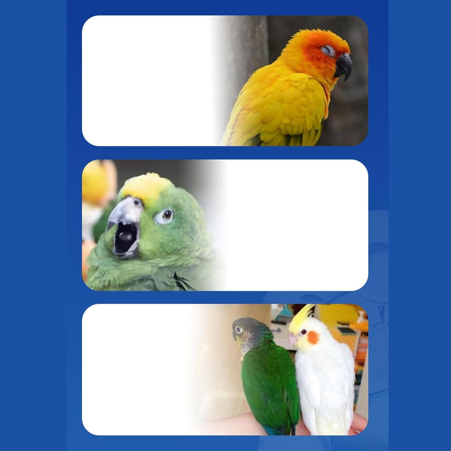 image:imageComplment alimentaire Complment de sant Poudre naturelle quotidienne 200 g pour un bientre complet quilibre intrieur nergie digestion et oiseaux