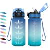 17oz-500ml | Paille | Bleu + Vert