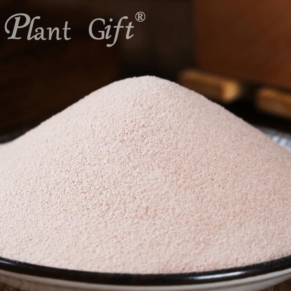 image:image100 Natural Pure Taro powder 100g352oz poudre de konjac pour smoothies shakes ptisseries et boissons sans conservateurs sans sucre ajout