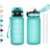 17oz-500ml | Paille | Mat Bleu-vert