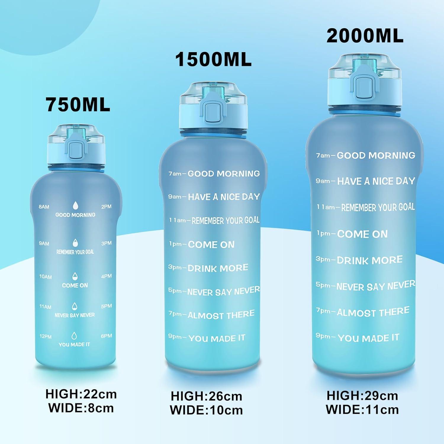 image:imageGourde Tritan sans BPA Filtrante fruits 2 L Bouteille antifuite Marqueur de temps Sport NoirBlue Blue
