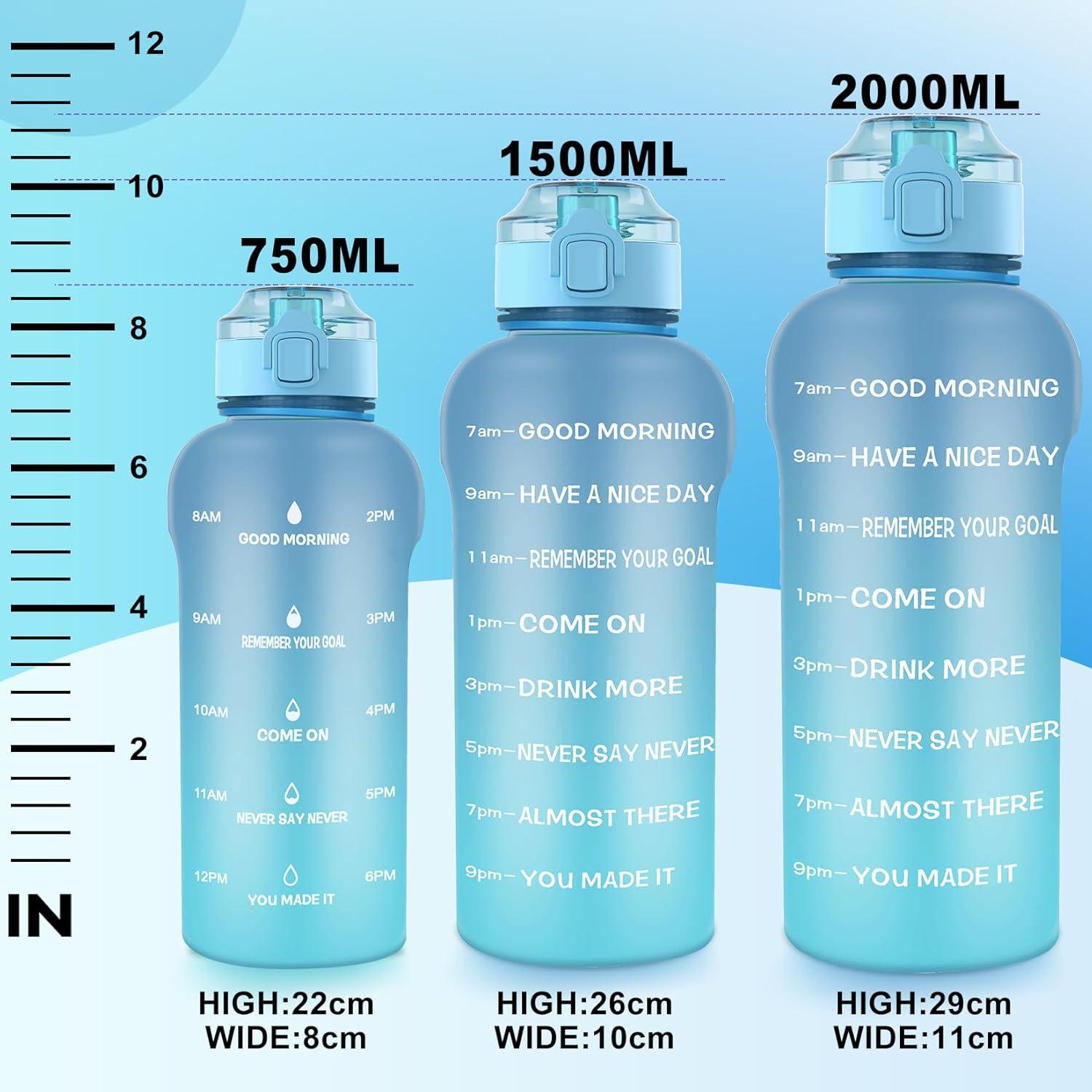 image:imageGourde Tritan sans BPA Filtrante fruits 2 L Bouteille antifuite Marqueur de temps Sport NoirBlue Blue