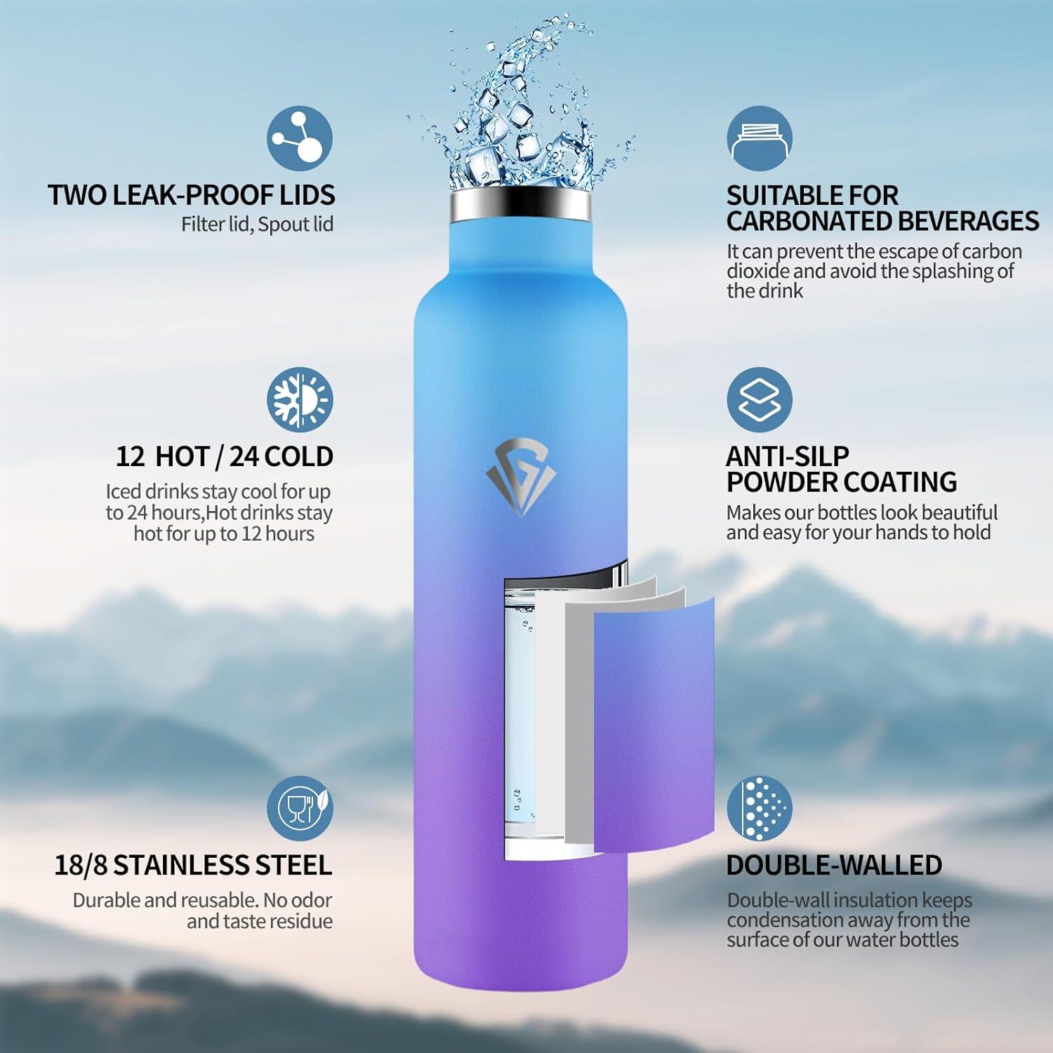 image:imageHoneyHolly Gourde Isotherme 500 ML Gourde INOX avec Paille Bouteille deau sans BPA Rutilisable AntiFuite Isolation sous Vide en Acier Inoxydable Double Paroi pour Enfants Adultes SportBleu Ciel Violet 1000 Ml