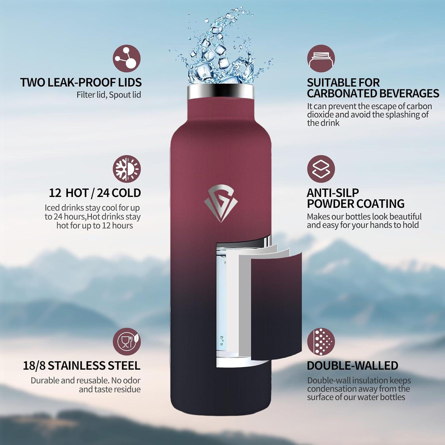 image:imageHoneyHolly Gourde Isotherme 500 ML Gourde INOX avec Paille Bouteille deau sans BPA Rutilisable AntiFuite Isolation sous Vide en Acier Inoxydable Double Paroi pour Enfants Adultes SportRouge Noir 750 Ml
